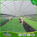 Popular products bottom price crop cover plastic film for greenhouse